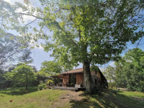 Maison bois au coeur de la nature. 2ha de terrain. Etangs